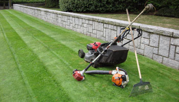 mower rake grass